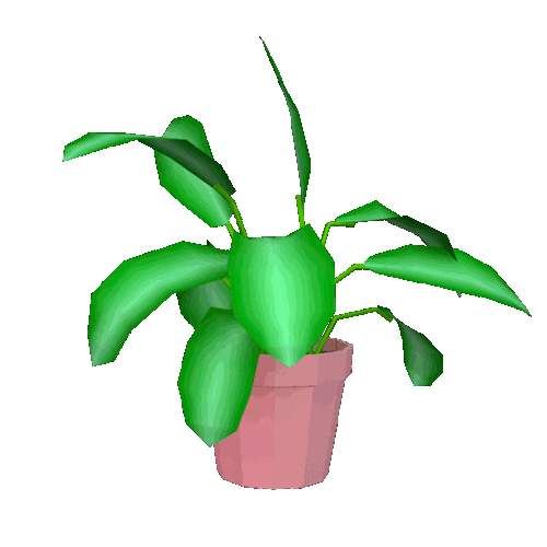plant